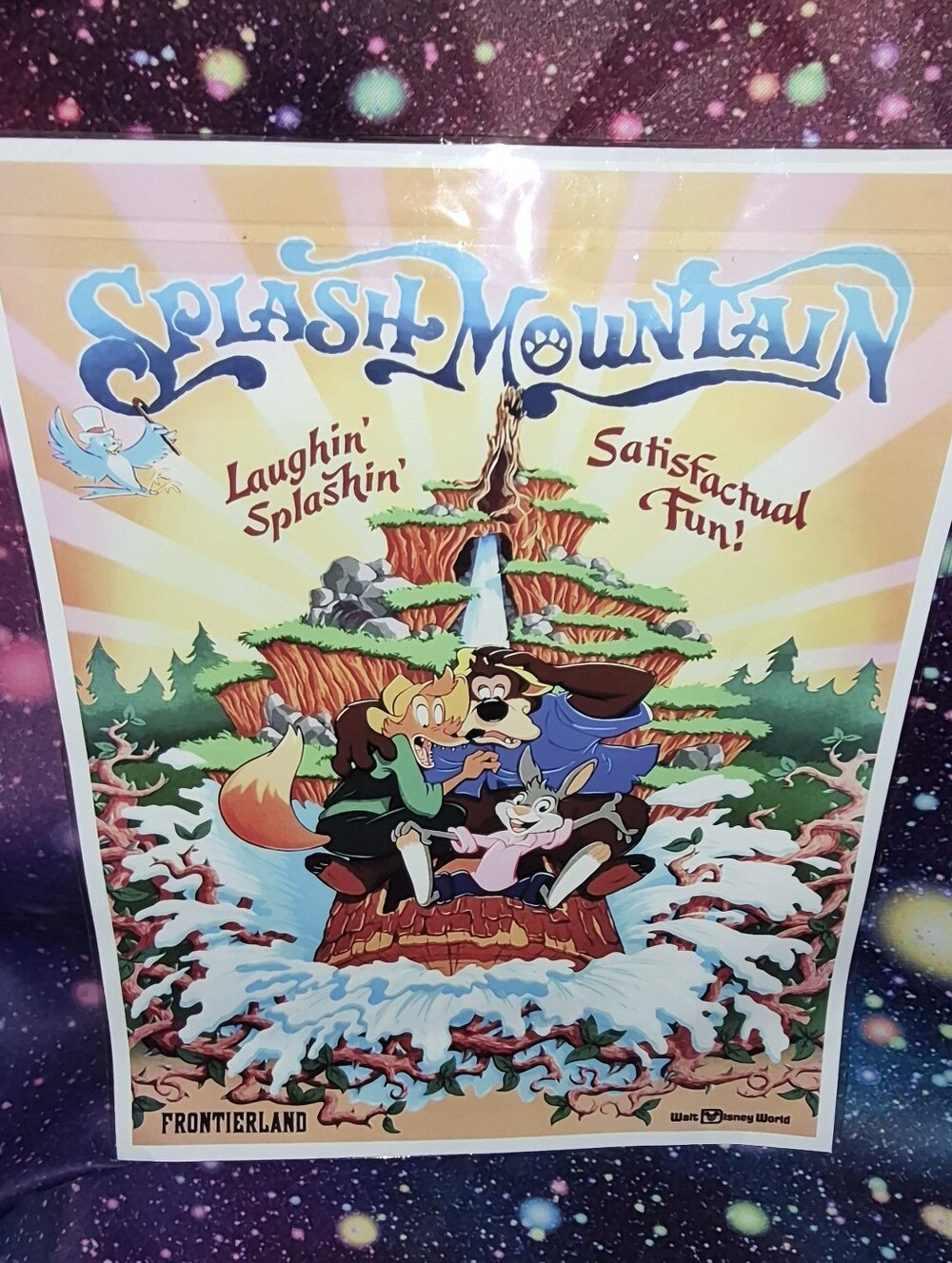 Disney Splash Mountain 18x20 Poster Print - Frontierland Attraction Art Unframe